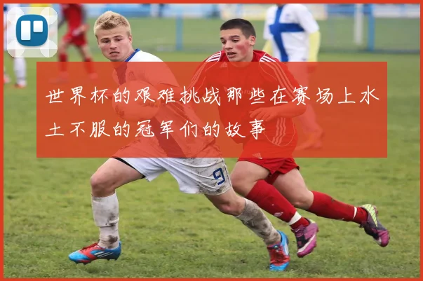 世界杯的艰难挑战那些在赛场上水土不服的冠军们的故事