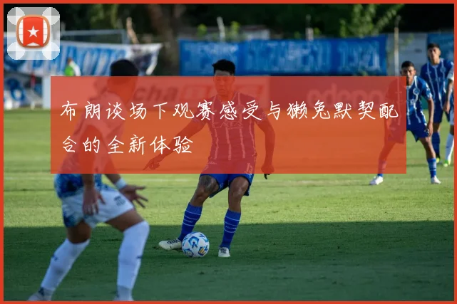 布朗谈场下观赛感受与獭兔默契配合的全新体验