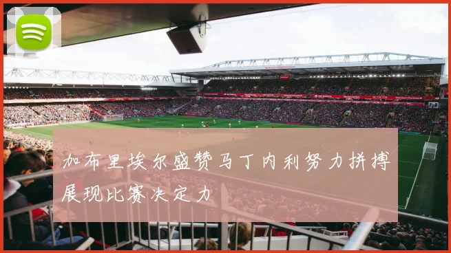 加布里埃尔盛赞马丁内利努力拼搏展现比赛决定力