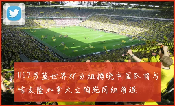 U17男篮世界杯分组揭晓中国队将与喀麦隆加拿大立陶宛同组角逐